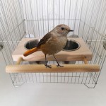 #N A Nourriture pour Oiseaux Gobelets en Acier Inoxydable Support de perchoir en Bois Bols d'alimentation Suspendus Alimentation et Abreuvoir pour