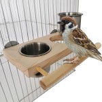 #N A Nourriture pour Oiseaux Gobelets en Acier Inoxydable Support de perchoir en Bois Bols d'alimentation Suspendus Alimentation et Abreuvoir pour