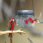 Zhiding Mangeoire à Oiseaux Abreuvoir pour Colibri Suspendu Abreuvoir en Plastique pour Oiseaux d'extérieur en Forme de Fleur Distributeur d'eau pour Oiseaux Sauvages