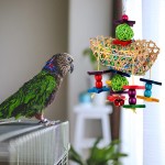 Balacoo Jouet à mâcher pour oiseaux 3 pièces déchiquetage jouets pour perroquet jouets de recherche de nourriture jouets pour perruches conures