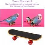 Huahao Perroquet Jouet Oiseau Skateboard Mini Panier Perroquet Formation Jouet Perroquet Skateboard Perroquet Formation Anneaux Oiseaux Jouets pour Perroquets Perruches Petits Moyens Oiseaux