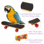 Huahao Perroquet Jouet Oiseau Skateboard Mini Panier Perroquet Formation Jouet Perroquet Skateboard Perroquet Formation Anneaux Oiseaux Jouets pour Perroquets Perruches Petits Moyens Oiseaux