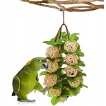 Jouets pour Oiseaux Boules de Rotin Perroquet Peréquat à mâcher Jouets Jouets Accessoires de Bricolage pour Oiseau Perroquet Macaw Cage Accessoires Toys