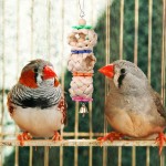 Kuoser Lot de 8 jouets à mâcher pour oiseaux perroquets cages balançoires avec cloches hamacs en bois pour perruches conures d'amour oiseaux calopsittes et pinsons