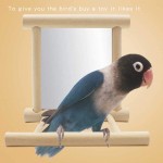 Pywee Oiseau Jouet pour Cage balançoire Suspendue avec Miroir Aire de Jeu de cacatoès échelle pour Perroquet Bain de Soleil Perruche Jouets en Bois Naturel