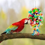 Wonninek Jouet à mâcher pour Grands perroquets Multicolores en Bois Naturel Jouets à déchirer pour Oiseaux perroquets Gris africains Jouet Perroquet Gris du Gabon