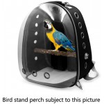 BURAN Sac de transport pour perroquet pour oiseau Transparent Sac à dos respirant 360°