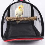 Xyzmdj Cage de transport d'oiseaux pour animaux de compagnie transporteur de voyage extérieur respirant espace perroquet sortir sac à dos porte-oiseaux multifonctionnel Size : Small