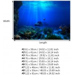 Fdit Fond HD pour aquarium poster XXL pour arrière-plan d’aquarium de poissons de mer motif fonds marins récif de corail photo décorative à mettre au mur 61 x 30 cm