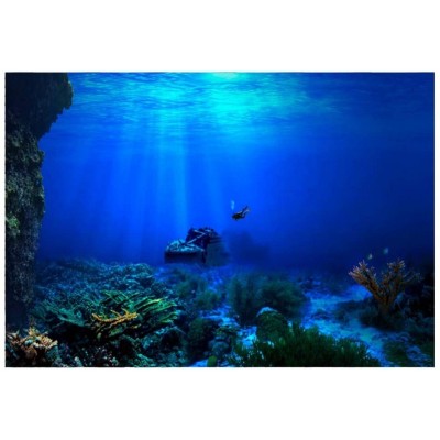 Fdit Fond HD pour aquarium poster XXL pour arrière-plan d’aquarium de poissons de mer motif fonds marins récif de corail photo décorative à mettre au mur 61 x 30 cm