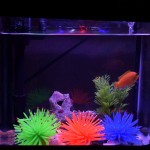 YMWALK Aquarium Fish Tank Ornement Décoration 3 Pièces Ornements d'aquarium en Forme d'oursin Artificiel Doux en Forme d'anémone Vert Orange et Bleu