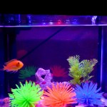 YMWALK Aquarium Fish Tank Ornement Décoration 3 Pièces Ornements d'aquarium en Forme d'oursin Artificiel Doux en Forme d'anémone Vert Orange et Bleu