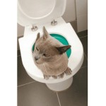Entrainez Votre Chat aux Toilettes avec litterkwitter