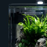 Dennerle Nano Filtre d'angle | Filtres pour Aquariums de 10 à 40 litres | Puissant Silencieux et Compact
