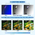 BELLALICHT LED lampe d'aquarium à Clip [lumière RVB + blanche] 10 niveaux de luminosité variateur lampe à pince d'aquarium pour réservoir à poissons 20-30CM et plantes aquatiques noir