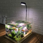 DELITLS Lampe d'aquarium 10 W à spectre complet LED alimentée par USB avec planche en bambou Nano pour plantes en pot plantes succulentes paysages miniatures taille M