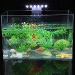 Garosa Éclairage d'aquarium à LED Lampe à Clip pour Aquarium éclairage à LED Mince pour Aquarium épaisseur maximale du Verre d'installation: 5 mm