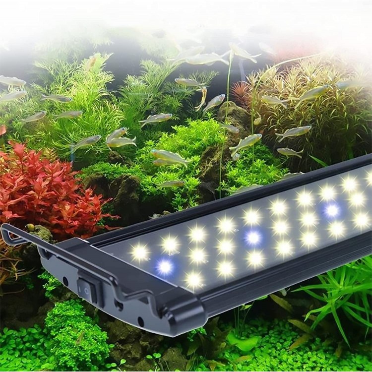 Kabxhueo LED Lampe Aquarium Étanche IP68 Aquatiques Lumière avec Support Extensible d'aquarium Lumière Éclairage Aquarium d'eau Douce Lumière Blanche et Bleue pour Aquarium