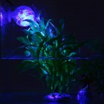 Lampe d'aquarium RVB lumière d'aquarium à LED éclairage pour la décoration