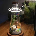 Lumière LED pour aquarium Complément aquatique Lumière ange Plantes avec support en acrylique Pour petits aquariums