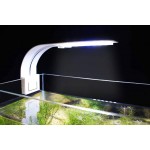 NICREW Lampe LED Ultra-mince pour Petit Aquarium Mini Lampe Pince Aquarium avec 24 LEDs Lumière Blanche et Bleue pour Aquarium de 30-40 cm 10W Blanche