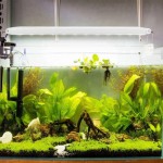 Réservoir de poissons d'aquarium lampe LED à croissance de 13 W avec supports extensibles pour éclairage de réservoir d'aquarium de 50 à 60 cm