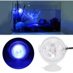 Tnfeeon Lampe d'éclairage amphibie Lampe d'éclairage sous-Marin à LED pour Aquarium à lumière Submersible pour Aquarium Prise UE 100-240VSpot Light-Blue