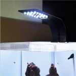UEETEK Lampe LED d'aquarium certifiée CE Clip Light pour lampe à clip créative pour aquarium lumière bleue et blanche