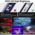 Viilich Lampe LED submersible pour aquarium avec télécommande éclairage d'aquarium étanche de couleur RVB submersible avec minuterie marche arrêt automatique 48 cm