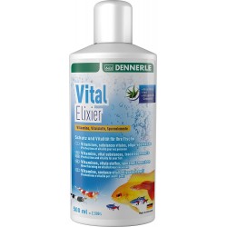 Dennerle Vital Elixir 500 ML conditionneur d'eau avec des vitamines importantes des substances vitales et des Oligo-éléments Protection et vitalité pour Les Poissons