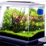 Mini grattoirs d'algues nettoyeur de verre de courbe de grattoirs d'algues en verre d'aquarium magnétique Brosse de nettoyage d'algues en verre d'aquarium pour aquarium flottante sans rayures
