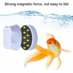 Podazz Mini grattoir à algues magnétique pour aquarium Brosse de nettoyage pour aquarium Blanc