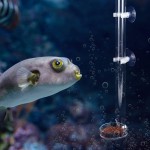 Atyhao Mangeoire d'aquarium Tube d'alimentation Transparent Acrylique pour Aquarium avec Plateau Mangeoire Durable de crevettes pour Poissons d'aquarium avec ventouses de Support de Fixation25cm