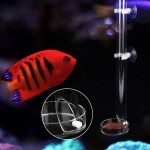 Pssopp Tube d'alimentation pour crevettes en acrylique transparent durable pour aquarium 25 cm