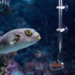 Pssopp Tube d'alimentation pour crevettes en acrylique transparent durable pour aquarium 25 cm