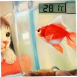 Thermomètre d'aquarium Thermomètre numérique LCD pour le réservoir de poisson Température de l'eau Incubateur Reptile Habitat Température