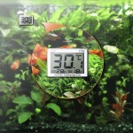 Thermomètre Mini Digital LCD Fish Tank Aquarium Thermomètre Eau Température Compteur 0 ° C ~ 37 ° C Convient à la Culture Hydroponique et à l'aquaculture dans les Aquarium Terrarium et Vivarium