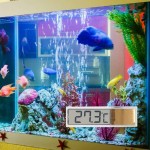 ViaGasaFamido Thermomètre d'aquarium capteur de LED d'aquarium capteur de température intérieure extérieure réservoir de Poissons thermomètre de Mesure électronique numérique 3DGolden