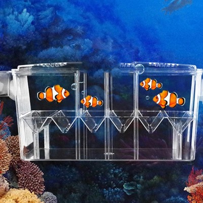 Bac d'élevage pour aquarium aquarium Incubateur pour bébé poissons crevettes guppy clown.