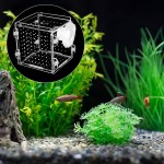 Boîte Aquarium Alevinage Boîte D' Isolation Acrylique avec Incubateur D' élevage du Poisson Ventouse Frite Boîte Éleveur pour Pisciculture Bébé Poissons Tropicaux Guppy