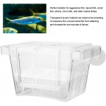Boîte d'éleveur de crevettes de poisson Boîte d'éleveur de poissons d'aquarium en acrylique Boîte d'isolation de poisson multifonctionnelle en acrylique Boîte d'isolement d'incubateur d'incubateur pou
