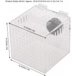 Boîte d'isolation de Poisson d'aquarium en Acrylique Solide boîte d'isolement d'élevage de Poissons Magnifique à Haute Transmittance couvoir Durable pour bébé