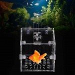 Boîte d'isolement d'élevage incubateur de domestication d'aquarium d'aquarium Terrarium d'aquarium acrylique transparent Poissons agressifs Terrarium d'écloserie de poissons blessés10CM*10CM*10CM