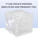 CUEA Boîte d'élevage d'isolement boîte d'élevage de Poissons Transparente Pratique écloserie d'aquarium dans l'eau avec Trou d'alimentation pour crevettesGrille Simple Mini 8 * 8 * 8