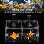 Incubateur d'élevage de poissons boîte d'isolation de poisson stable réglable en hauteur acrylique d'aquarium non toxique avec panneau d'isolation pour l'élevage pour l'isolement20CM*10CM*10CM