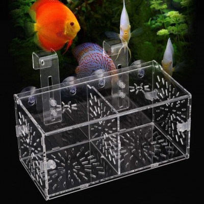 Incubateur d'élevage de poissons boîte d'isolation de poisson stable réglable en hauteur acrylique d'aquarium non toxique avec panneau d'isolation pour l'élevage pour l'isolement20CM*10CM*10CM