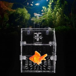 Incubateur d'élevage de poissons boîte d'isolation de poisson stable réglable en hauteur acrylique d'aquarium non toxique avec panneau d'isolation pour l'élevage pour l'isolement10CM*10CM*10CM