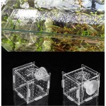 Les Poissons D'aquarium Isolation Boîte De Poissons D'élevage Incubateur Éleveur Fish Tank