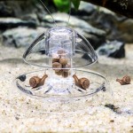 LOVIVER Réservoir De Poissons Escargot Capteur en Plastique Piège à Insectes Catch Catch Aquarium De l'environnement S