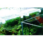 Popetpop Boîte d'isolation pour aquarium Transparent 20 x 10 x 10 cm